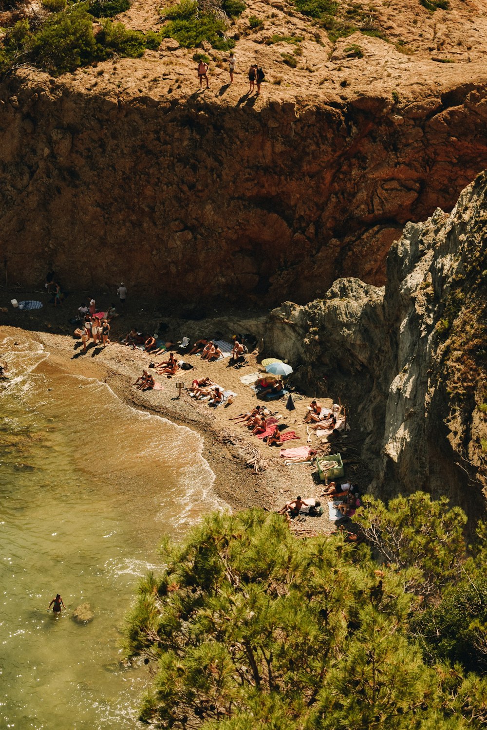 people on beach during daytime