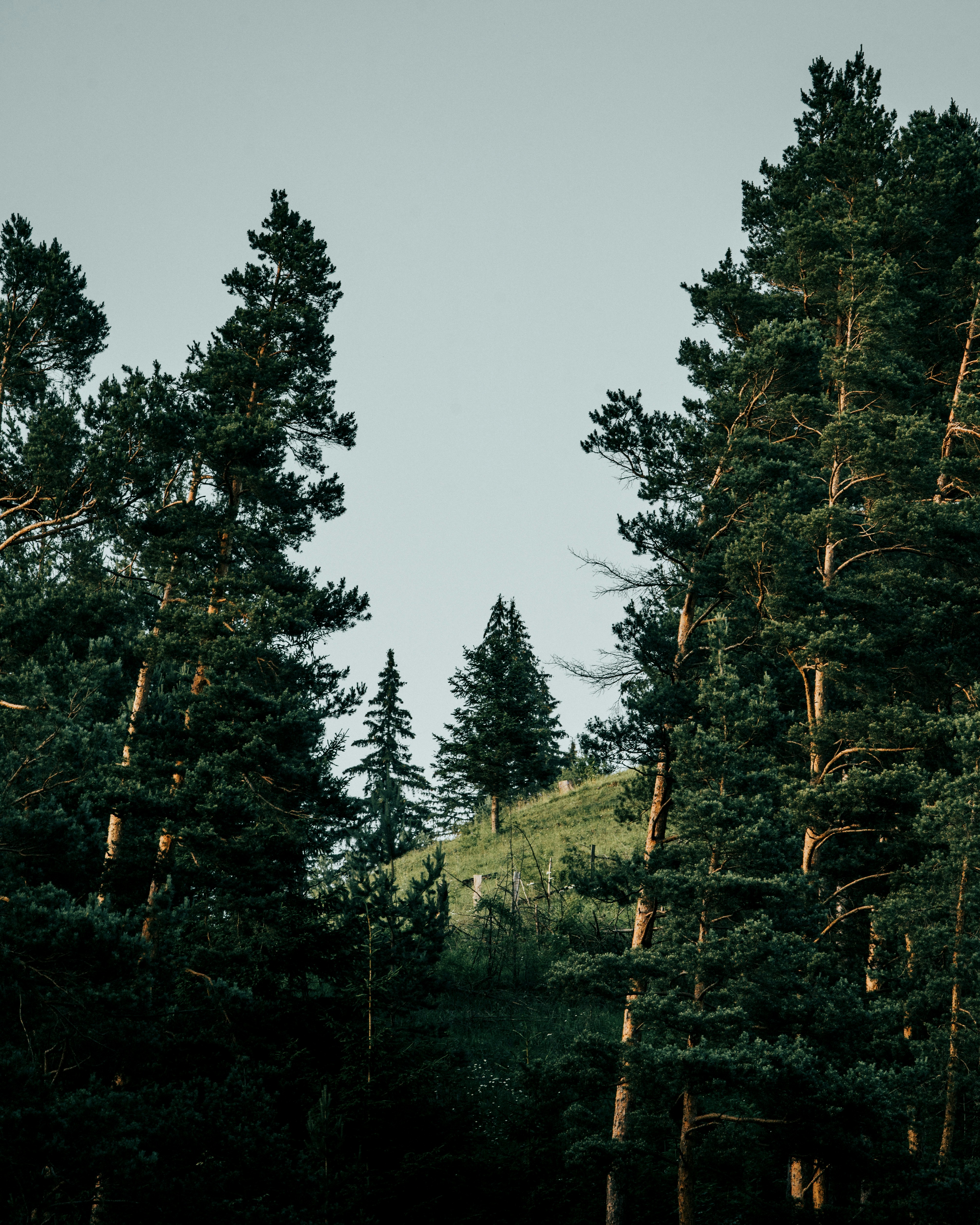 Photo by tamas_tuzeskatai