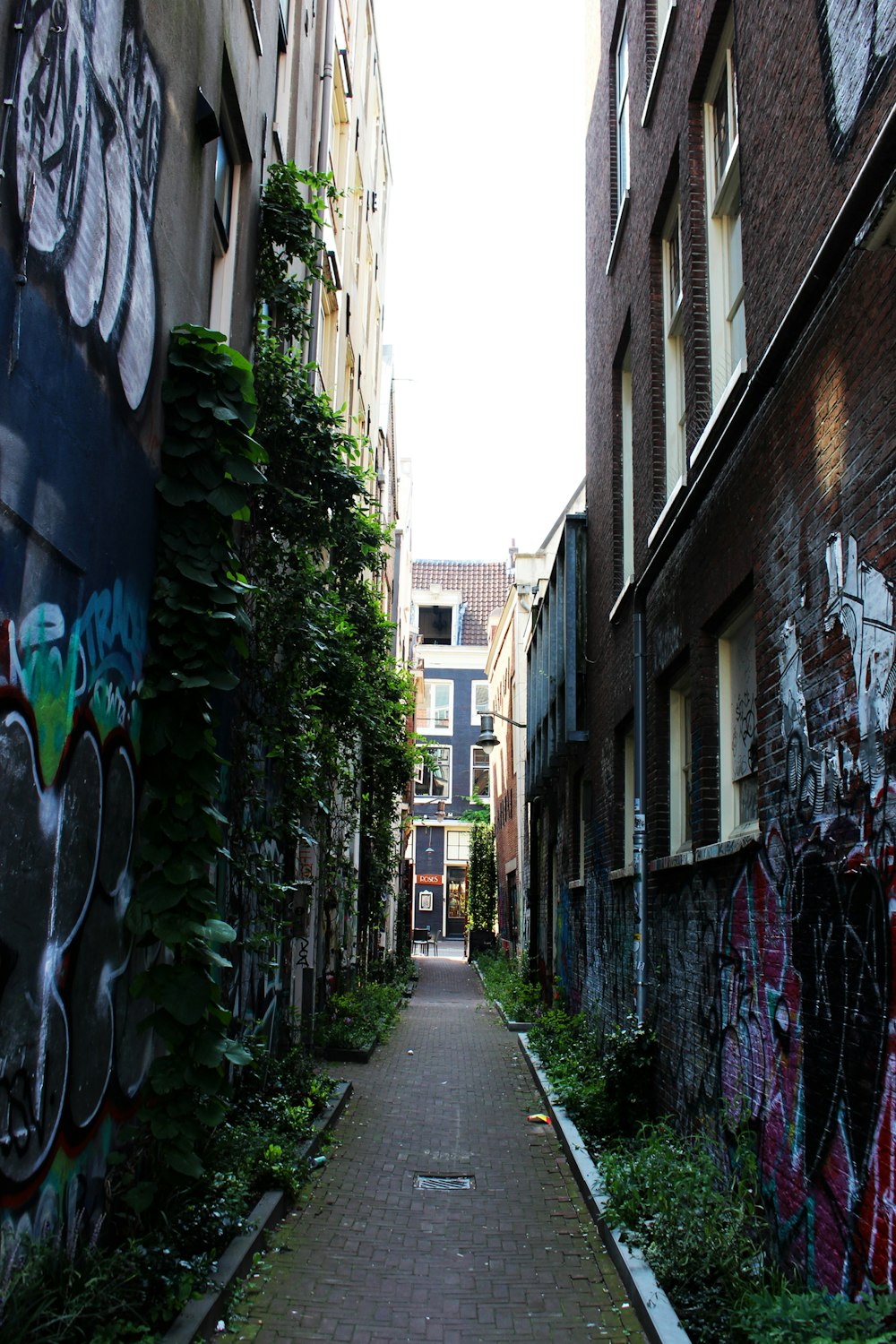 empty street in between of houses