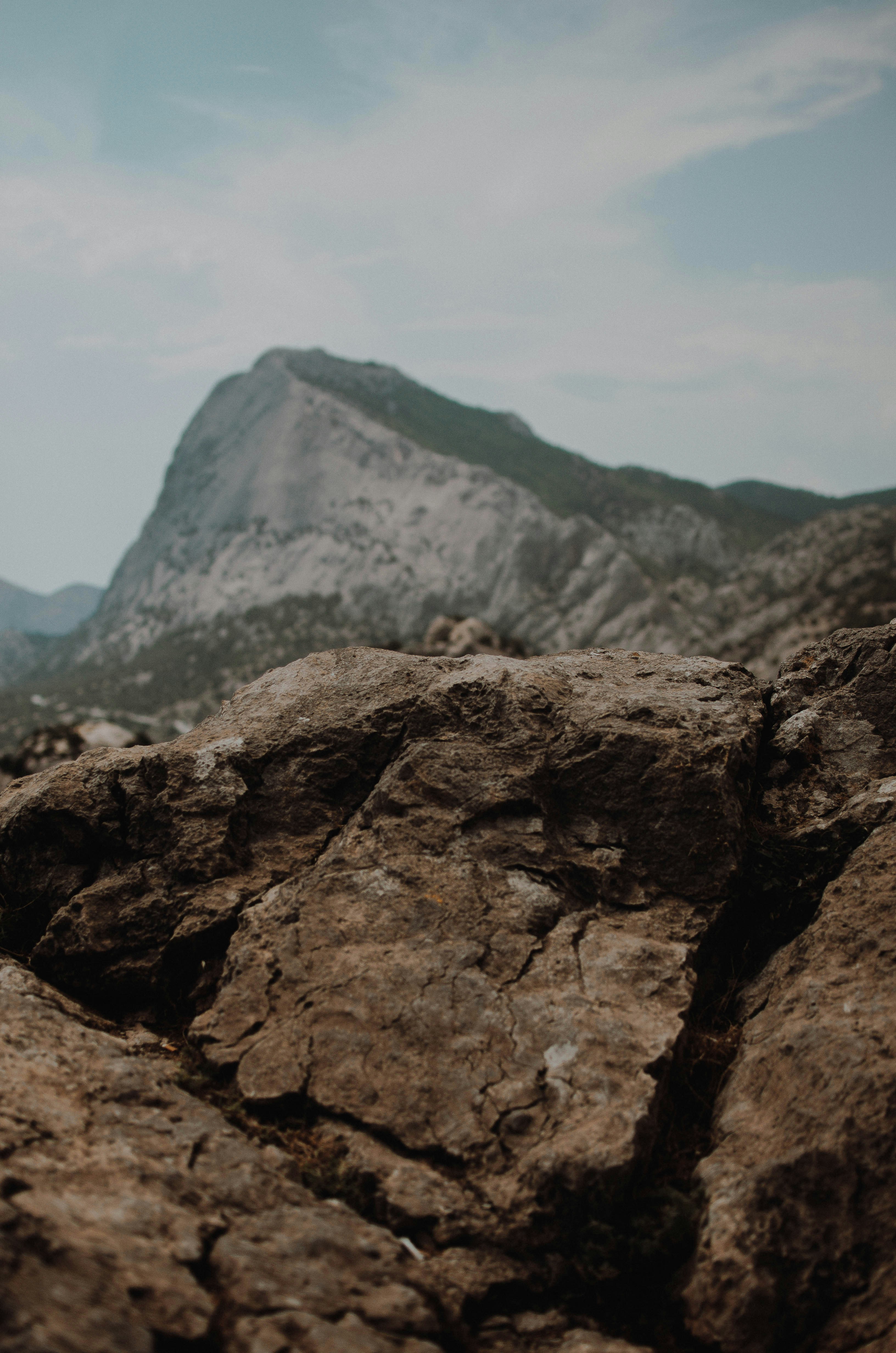 Photo by artemivanchencko