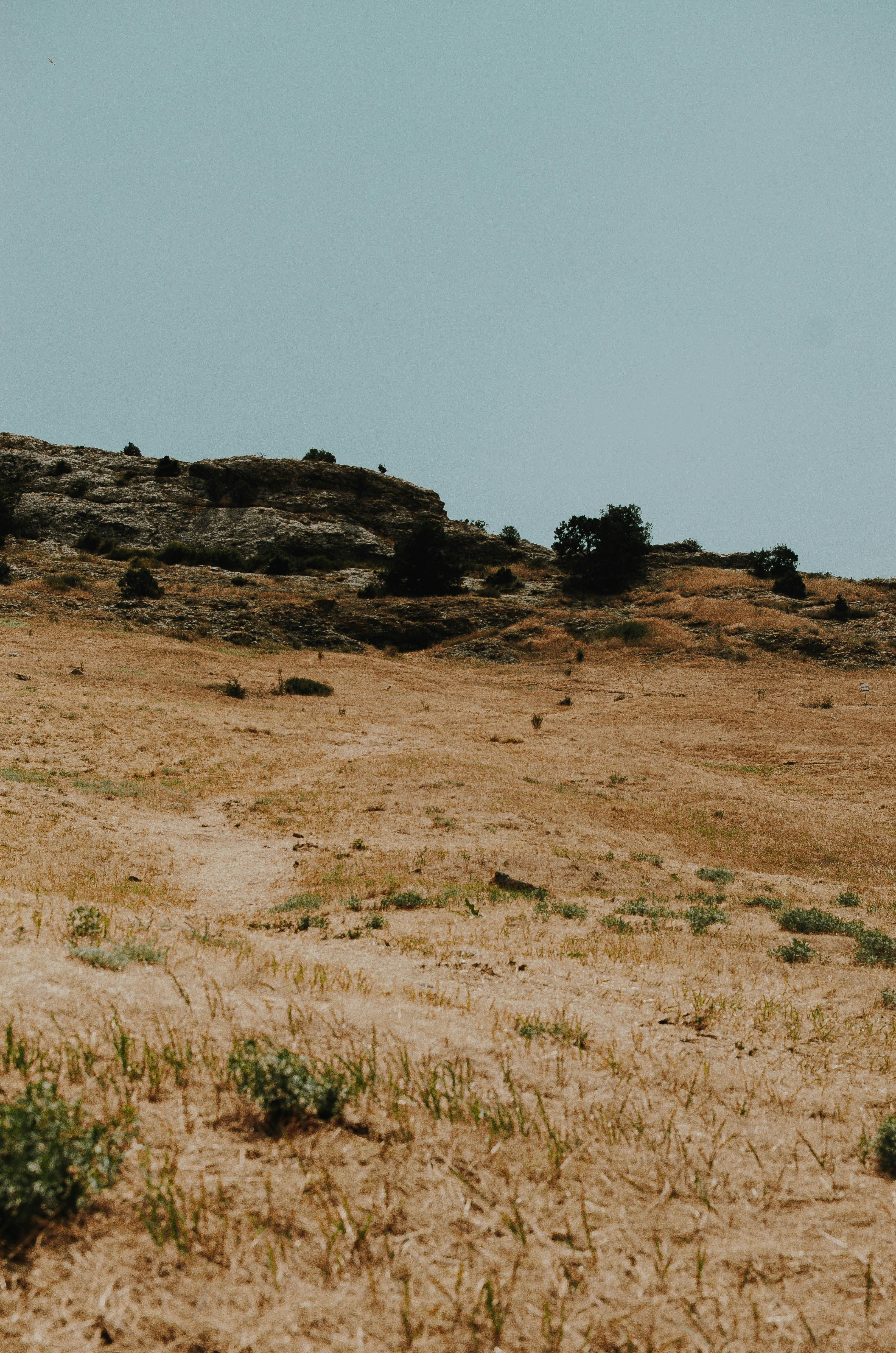 Photo by artemivanchencko