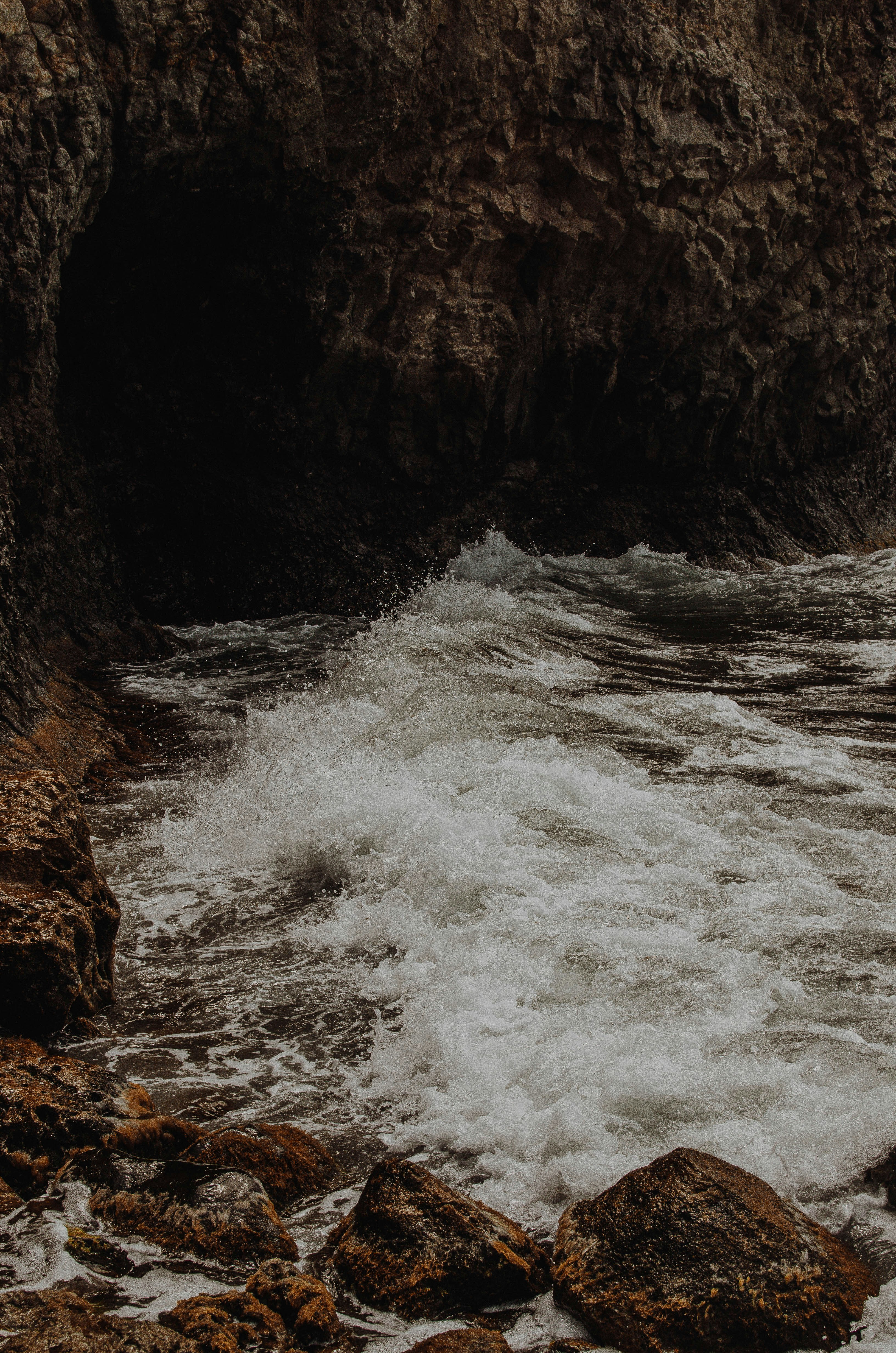 Photo by artemivanchencko