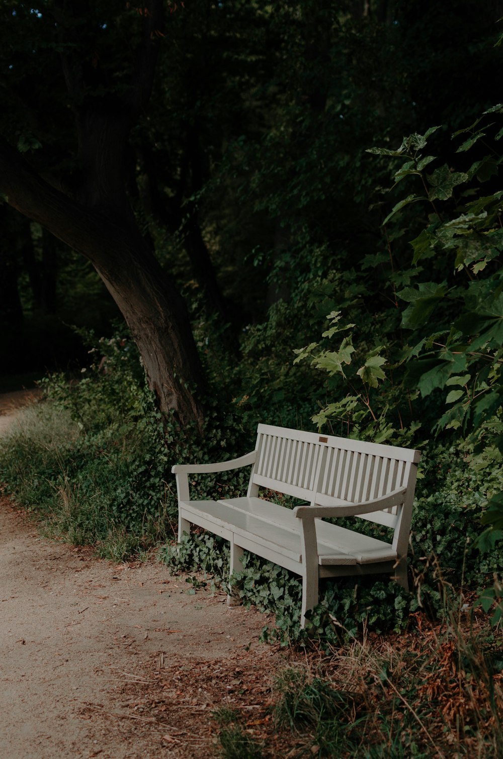 brown wooden bench near green trees during daytime