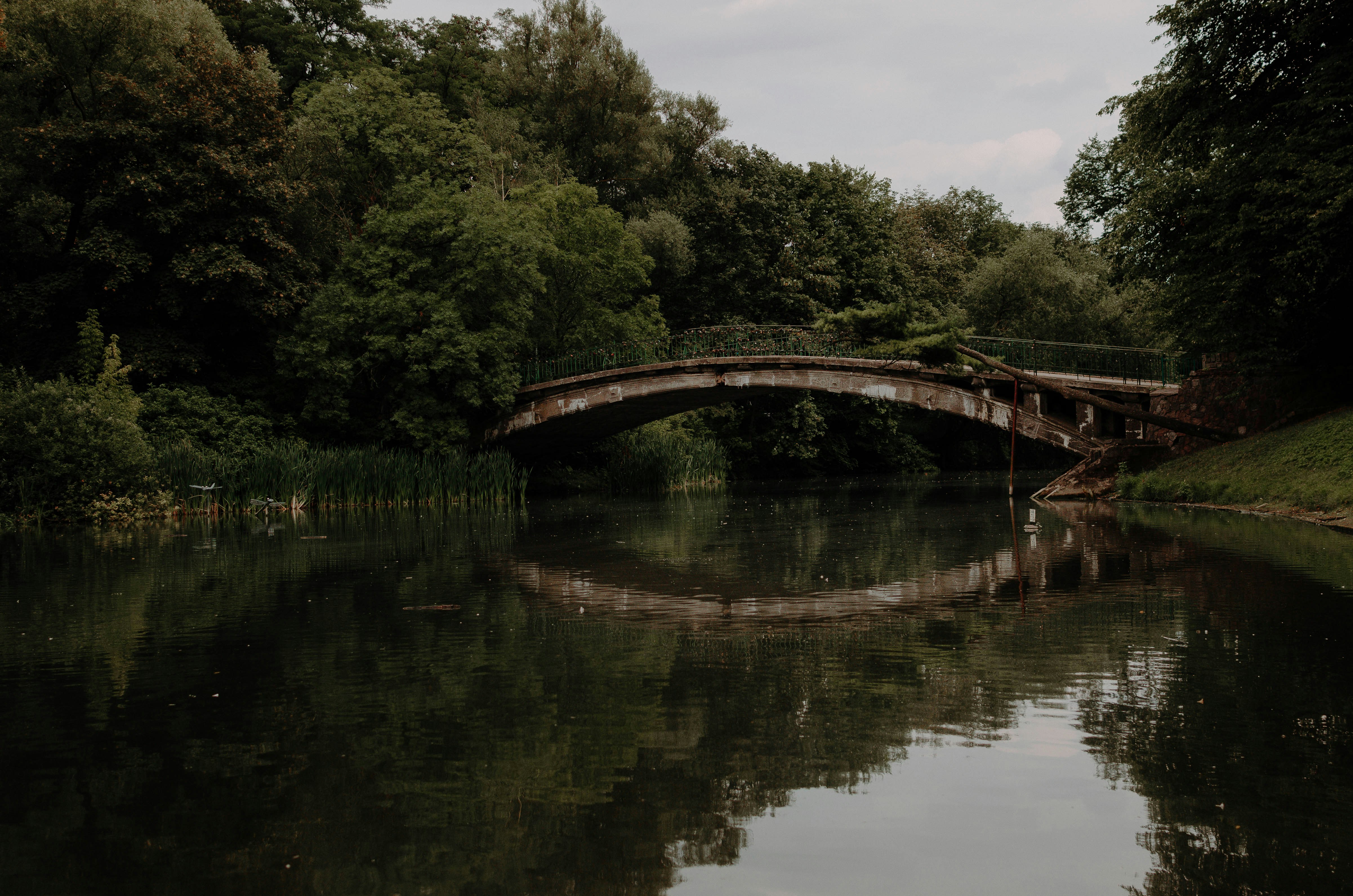 Photo by artemivanchencko