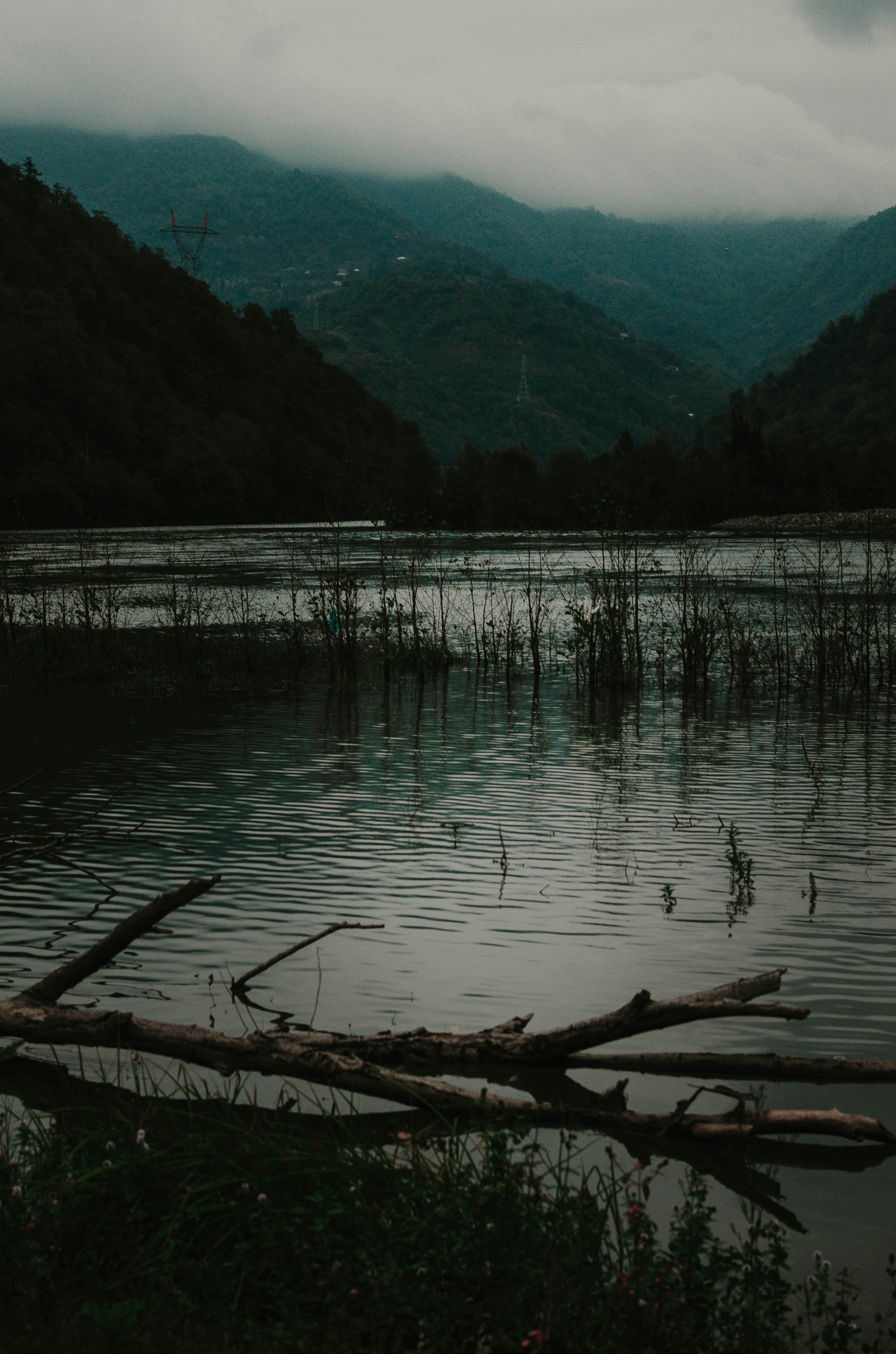 Photo by artemivanchencko