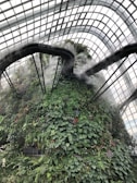 A towering indoor greenhouse structure with a lush vertical garden covered in various green plants and occasional flowers. A mist or fog system is in place, creating a humid and tropical atmosphere. Overhead, there are glass panels allowing natural light to flood the space, and curved walkways lead up and around the structure.
