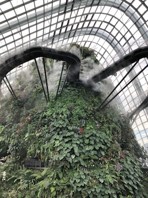 A towering indoor greenhouse structure with a lush vertical garden covered in various green plants and occasional flowers. A mist or fog system is in place, creating a humid and tropical atmosphere. Overhead, there are glass panels allowing natural light to flood the space, and curved walkways lead up and around the structure.