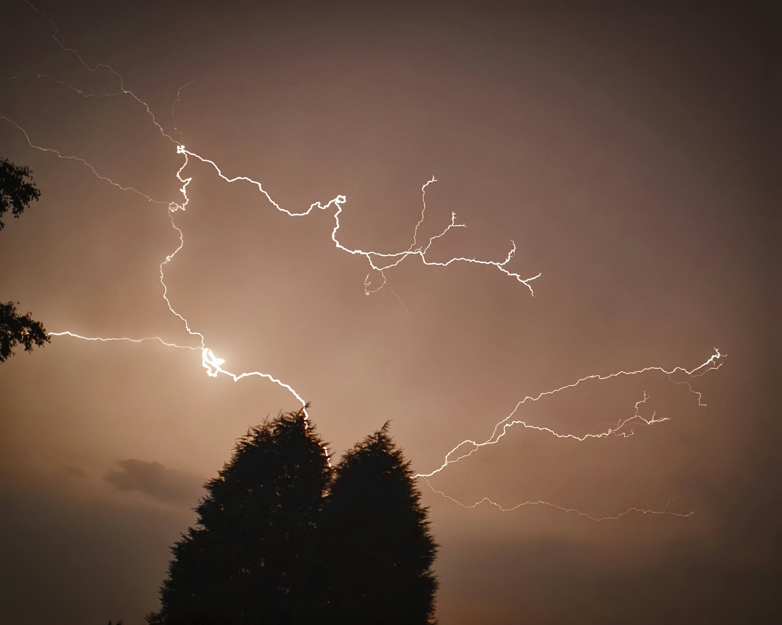 夜間に木に落雷の写真 Unsplashの無料イギリス写真