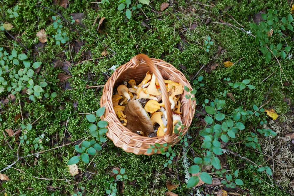 Braun geflochtener Korb auf grünem Gras