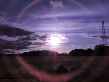 A field under a partly cloudy sky with a prominent sun in the center casting a circular flare. The scene is bordered by trees and includes a tall electric tower to the right.