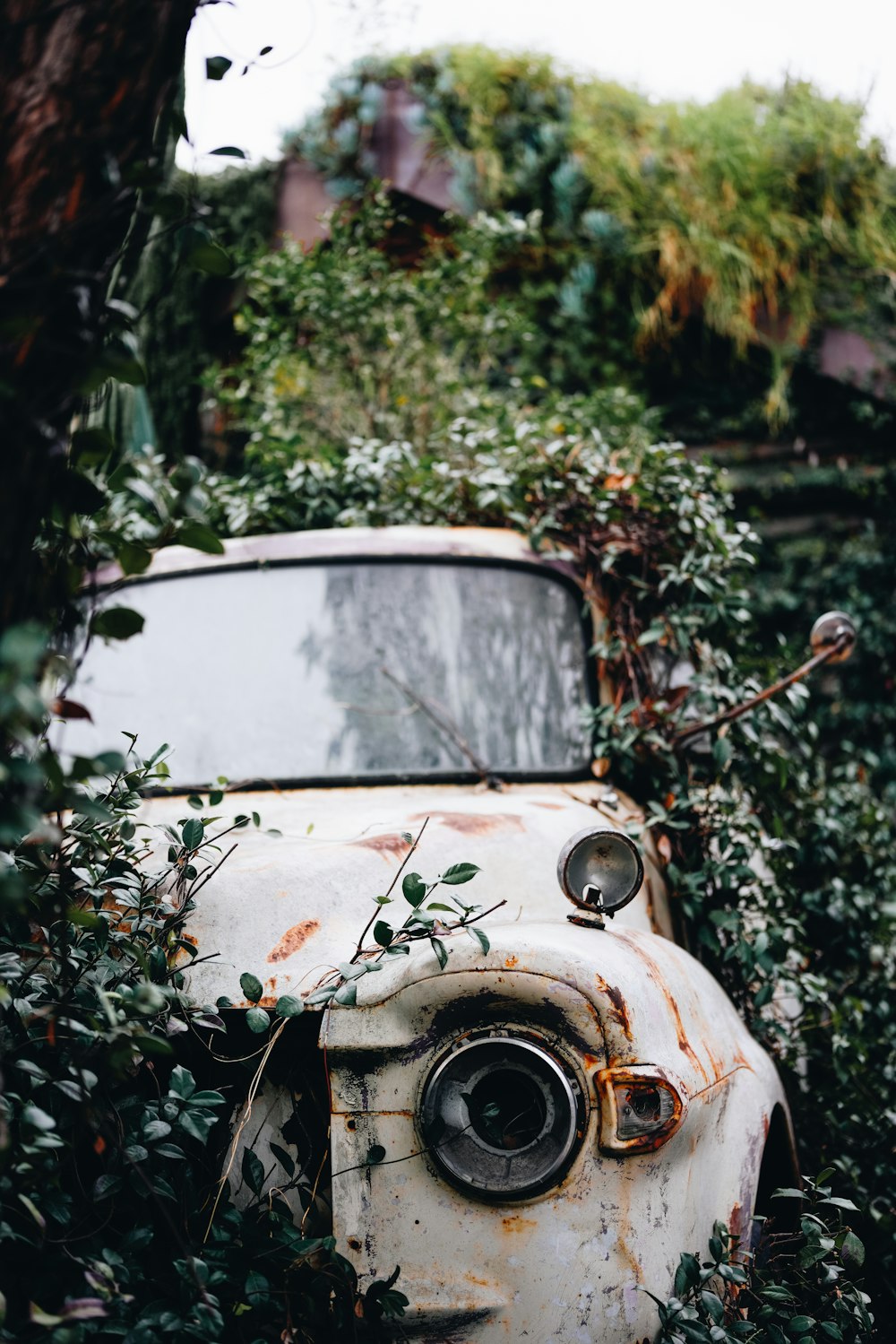 voiture blanche avec des feuilles vertes