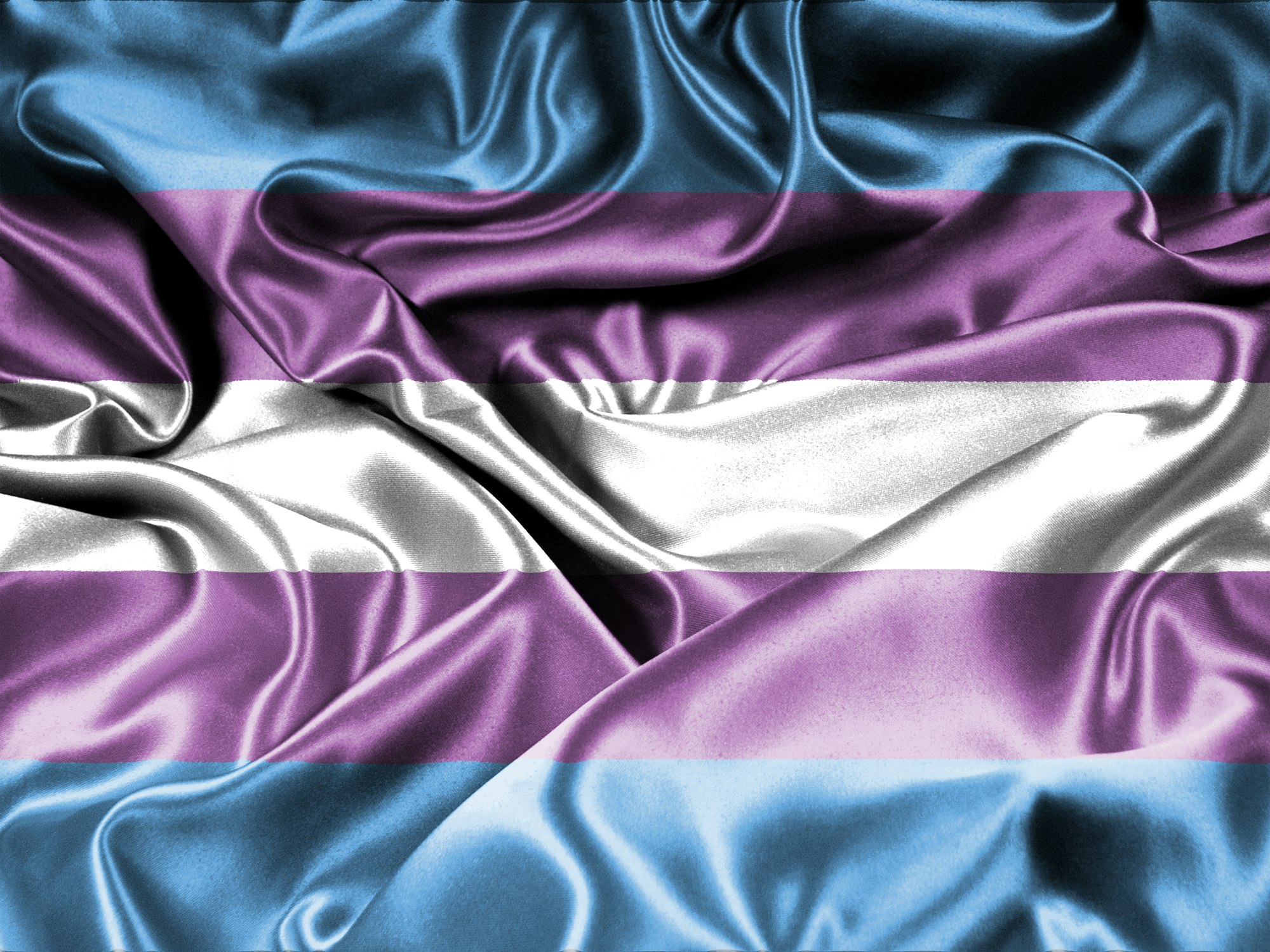Transgender Flag 2