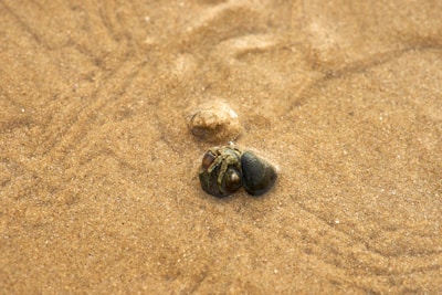 Close-up of a smooth stone on a sandy beach with soft shadows.