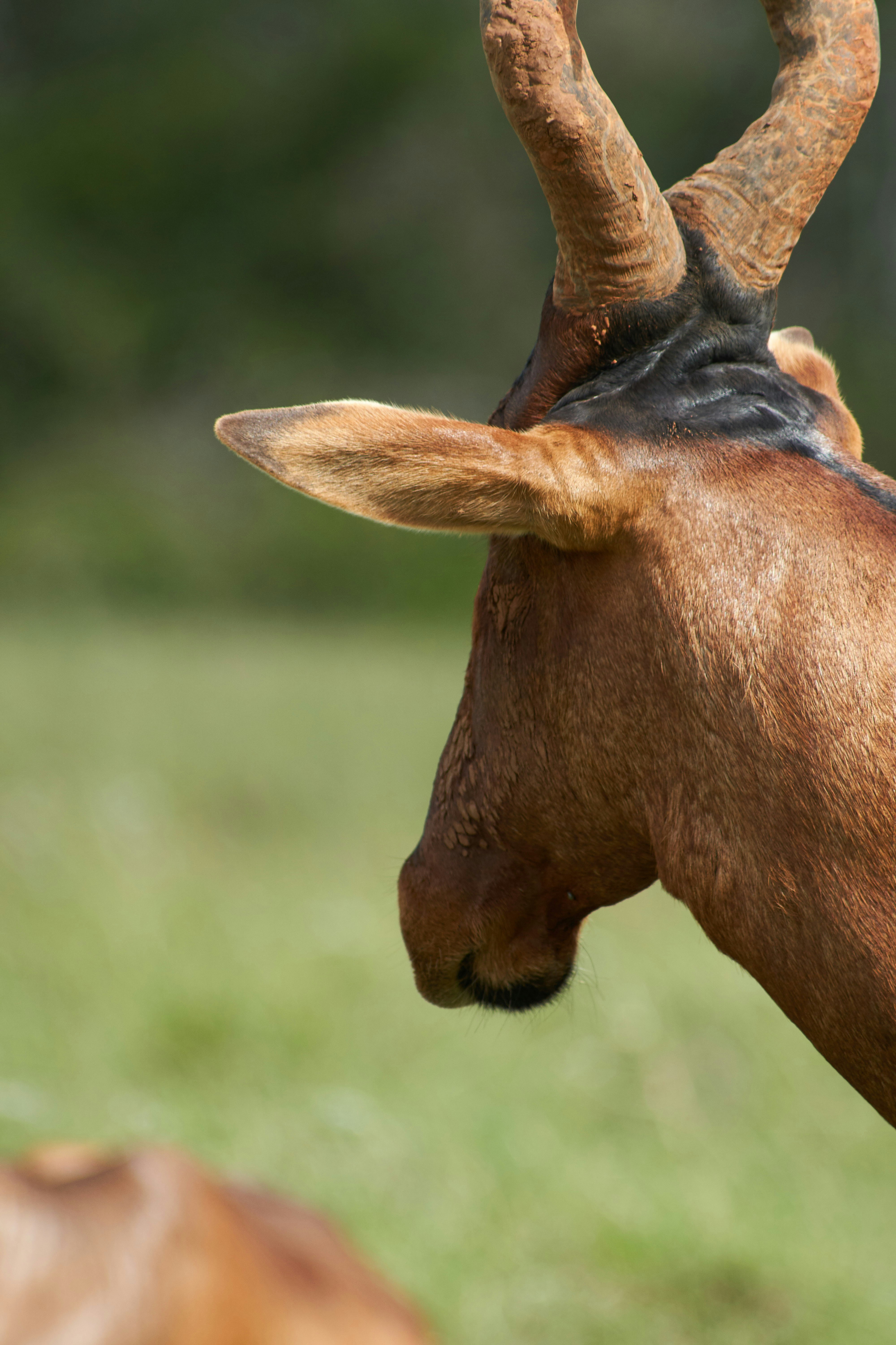 Photo by wolfgang_hasselmann