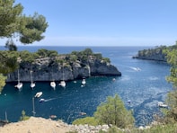 green trees on island during daytime