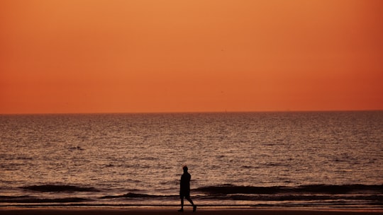 silhouette of person standing on seashore during sunset in Oostende Belgium