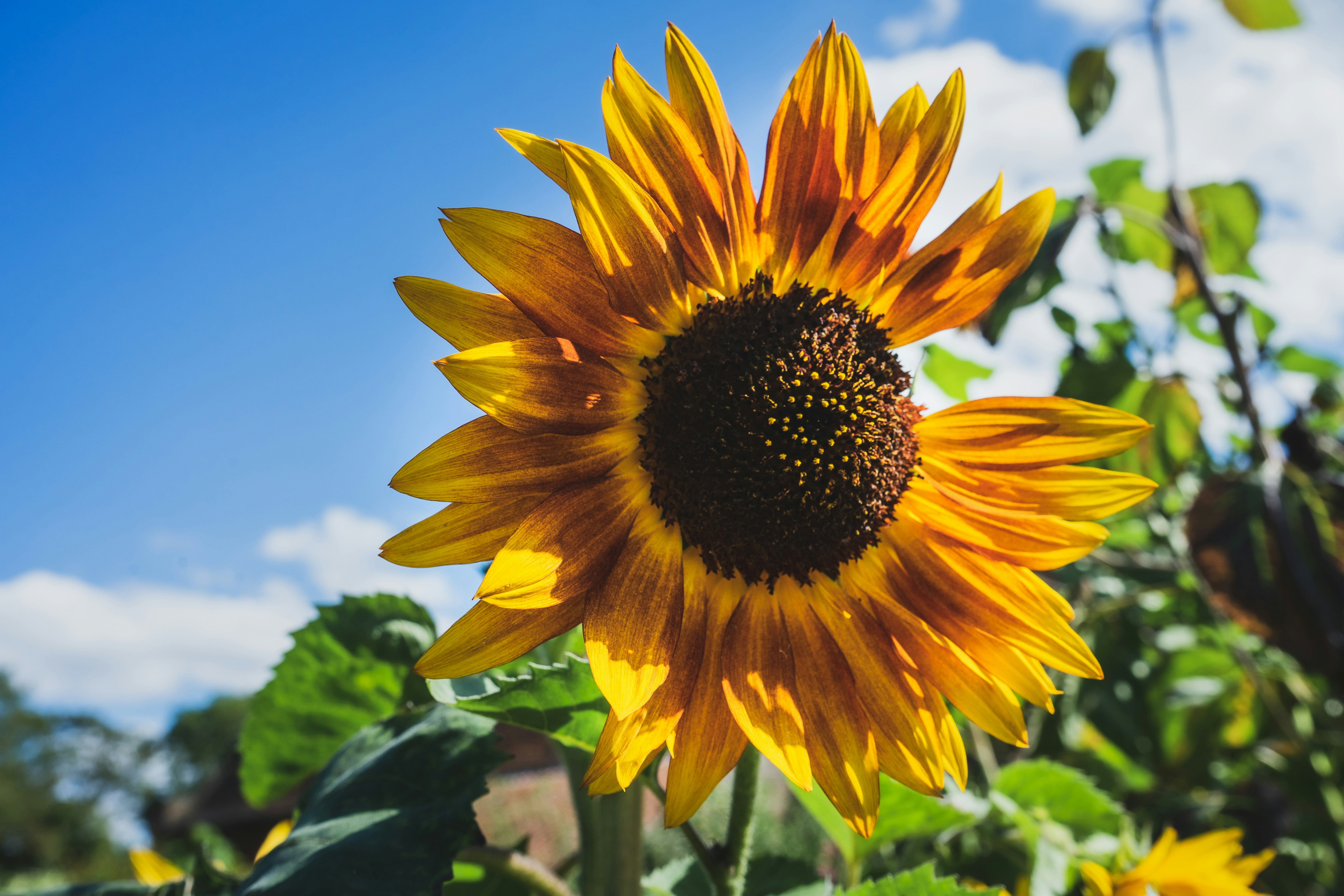 Photo by carrier_lost