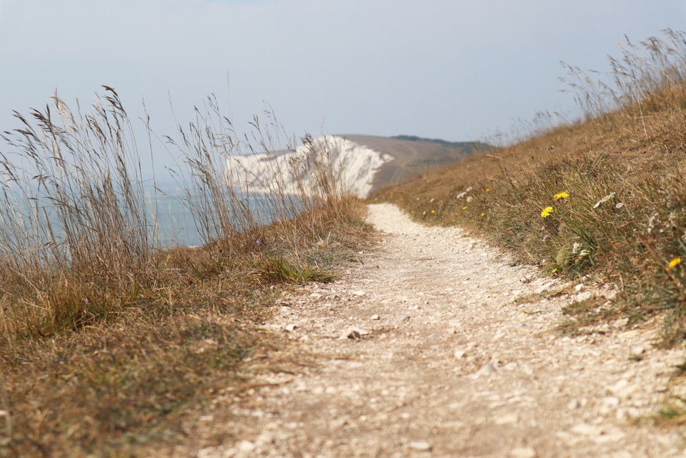 brown dirt road near body of water during daytime