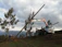 Concrete poles being loaded onto a truck at a busy construction site in Brasília.