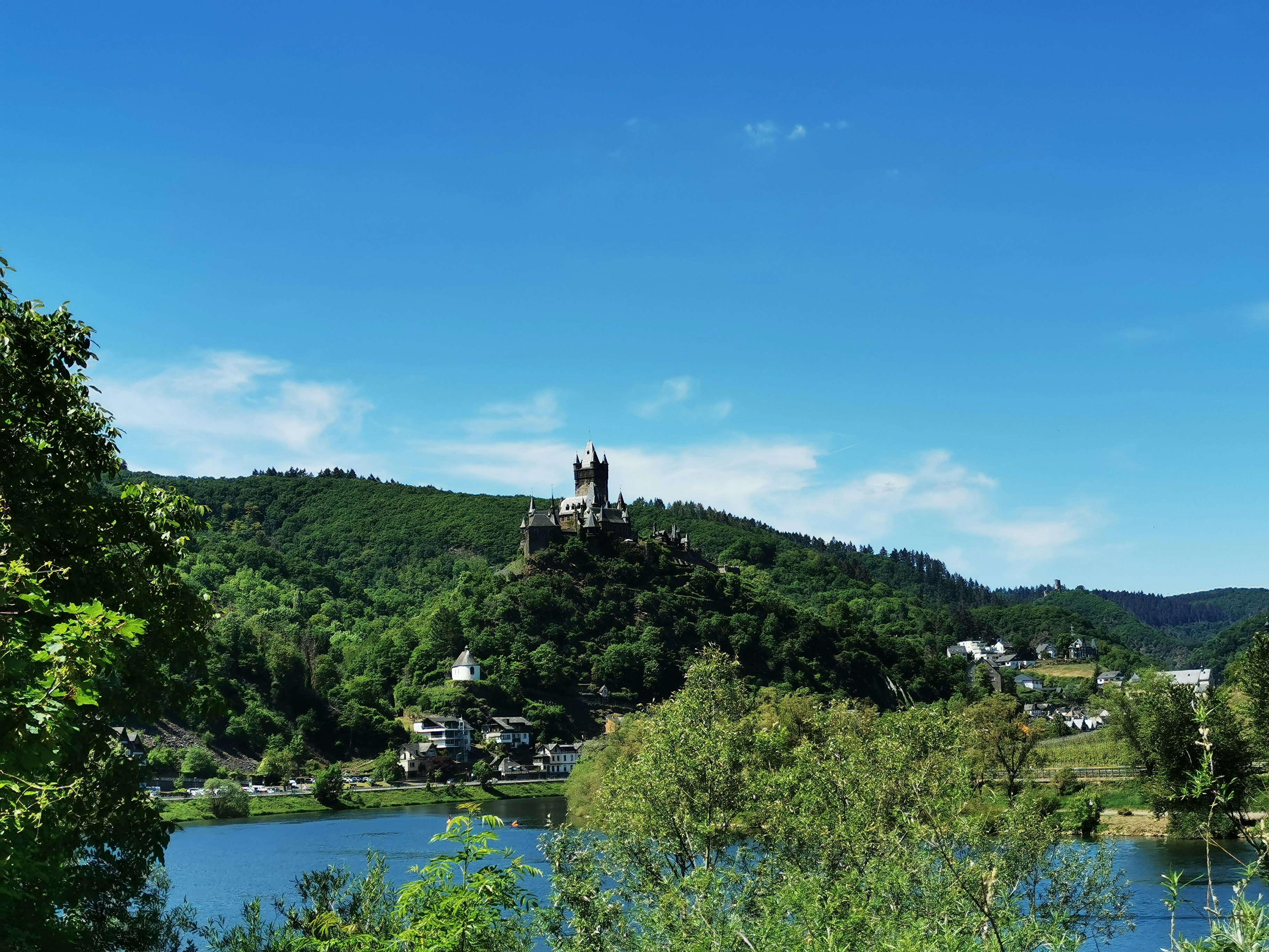 green trees near body of water during daytime