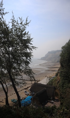 A serene coastal scene with a sandy beach and an expansive view of the sea. Tall trees frame the image on the left, and a quaint thatched-roof cottage sits near the beach. Wooden groynes extend into the water, and small boats are visible on the shore. Distant cliffs rise in the background under a slightly overcast sky.