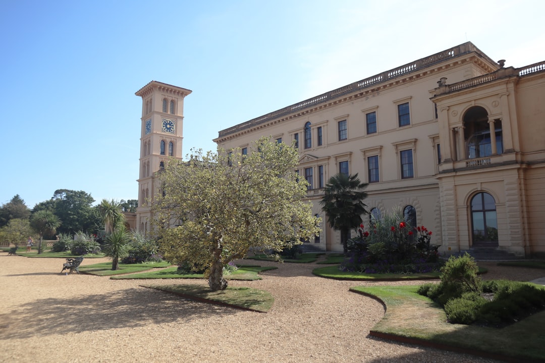 green trees near brown concrete building during daytime