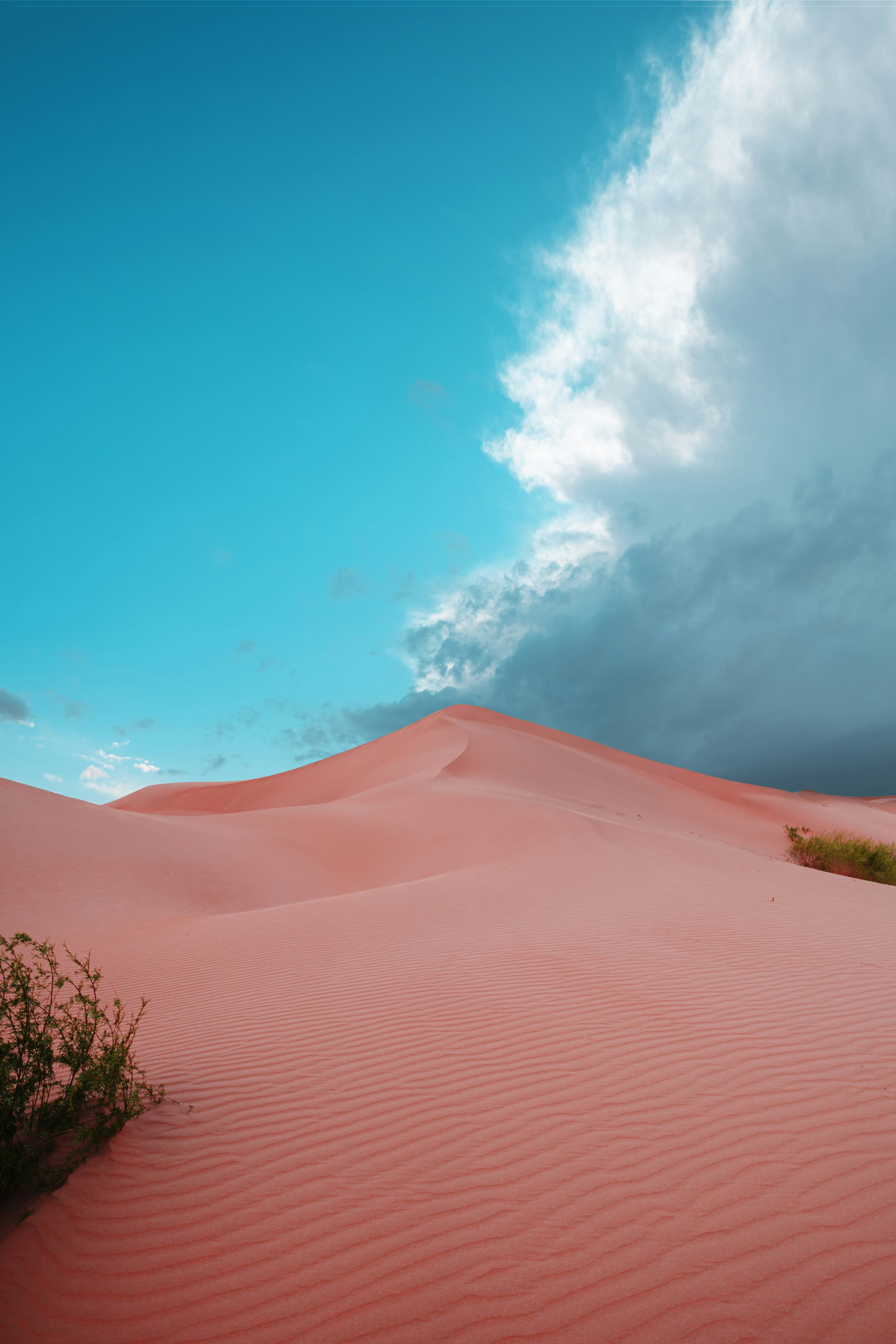 Pink Desert Pictures | Download Free Images on Unsplash