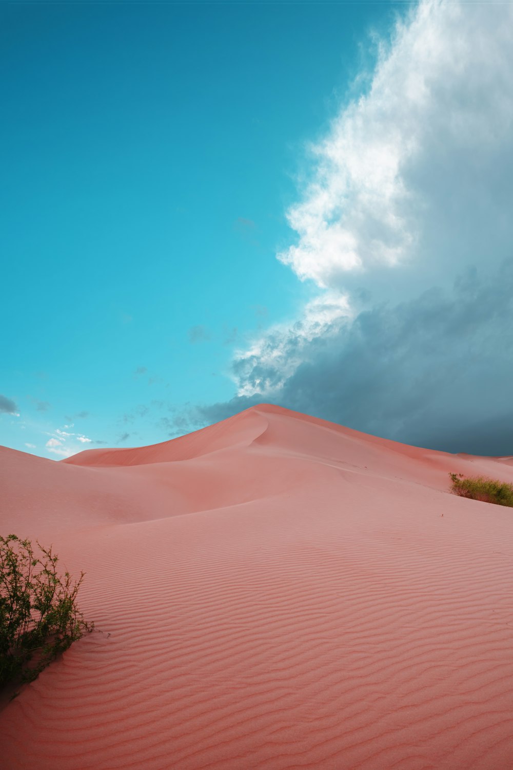 brown sand under blue sky during daytime