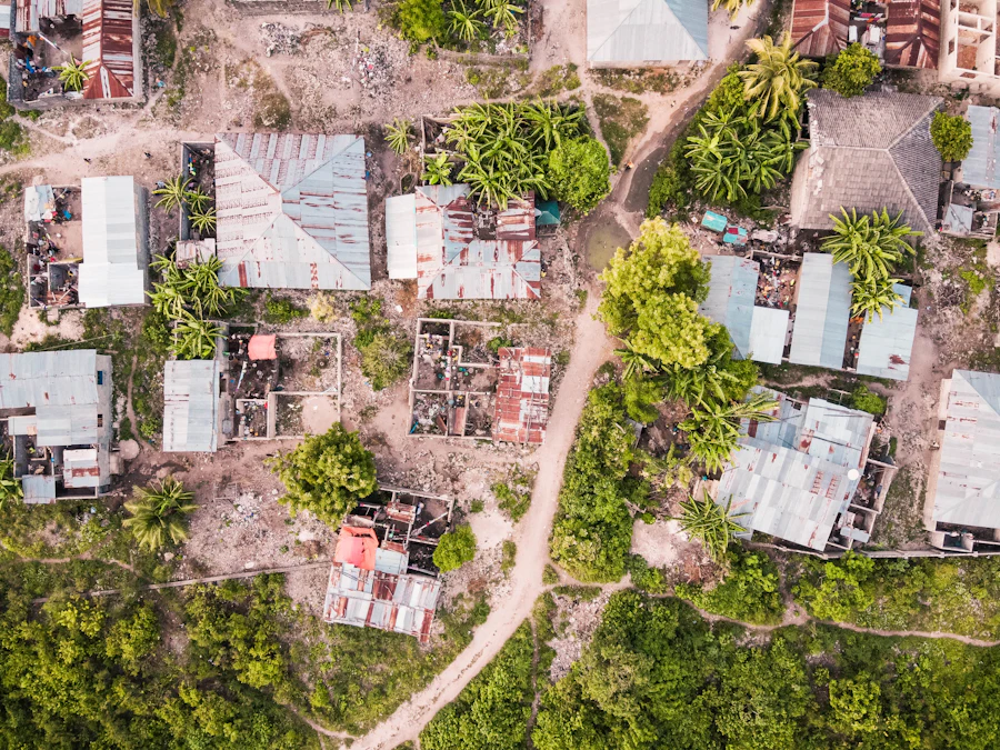 Aerial view of cultivated plots and tracks laid out around a settlement