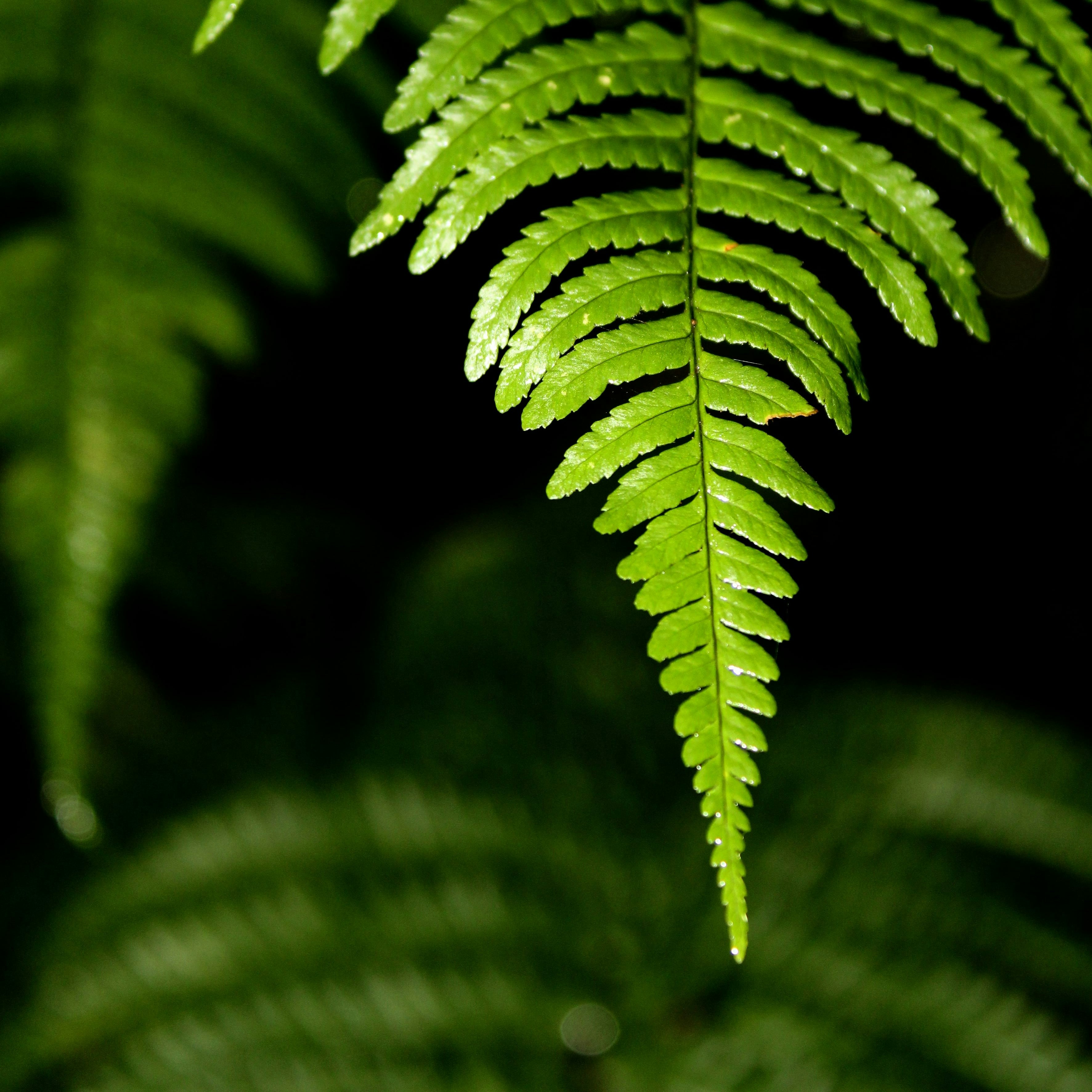 Photo by every_small_step_