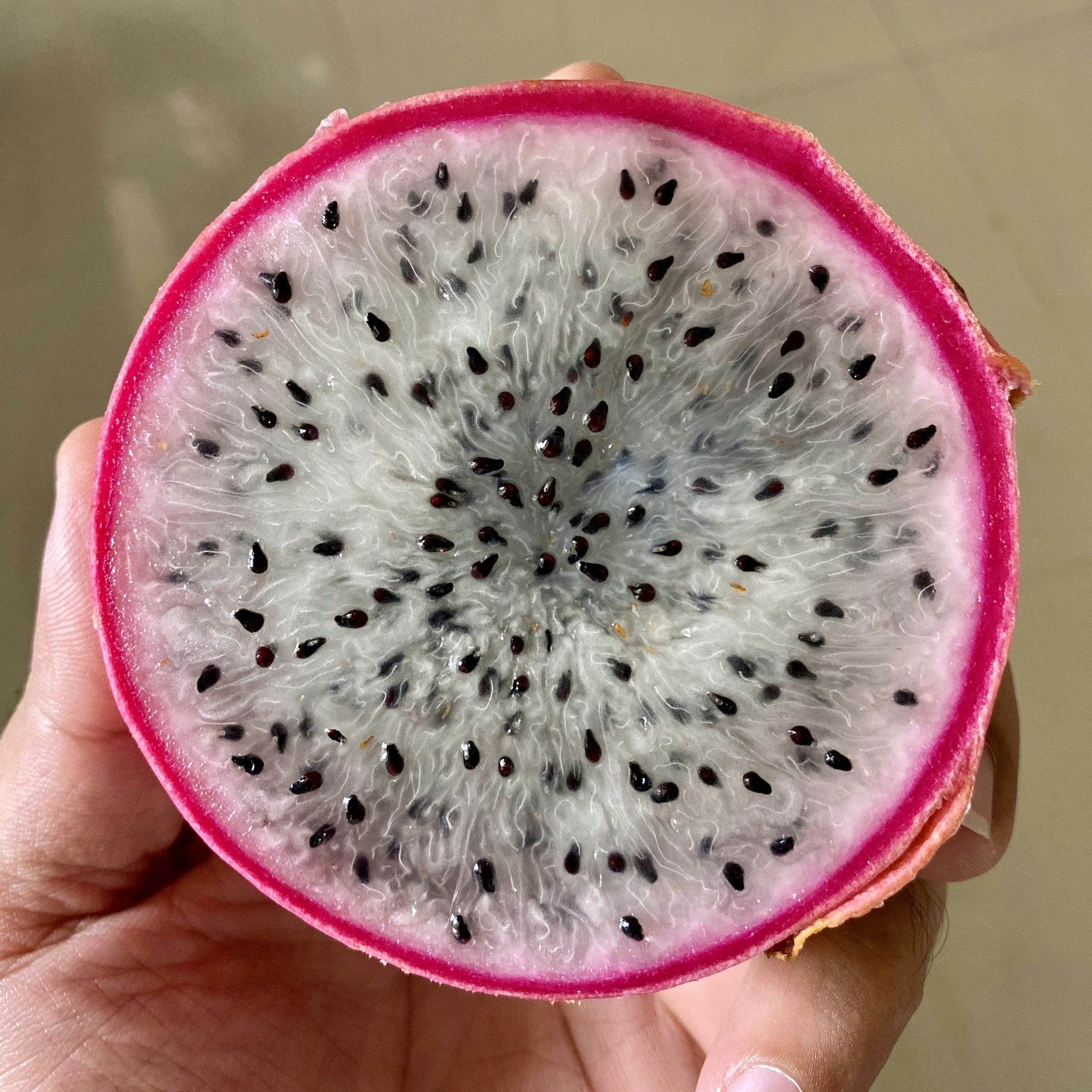 Pitahaya ecuatoriana