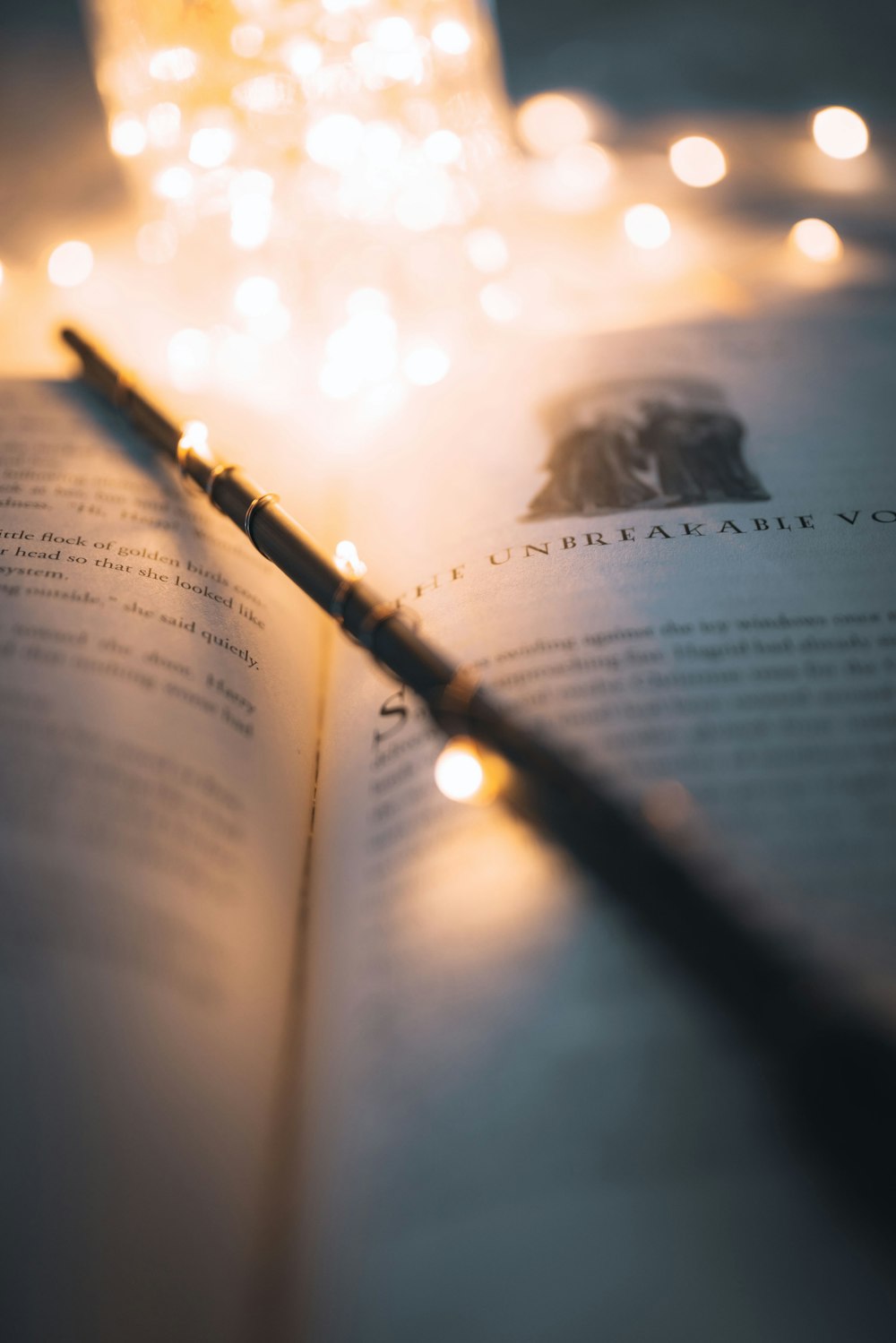 30k+ Potter Pictures  Download Free Images on Unsplash