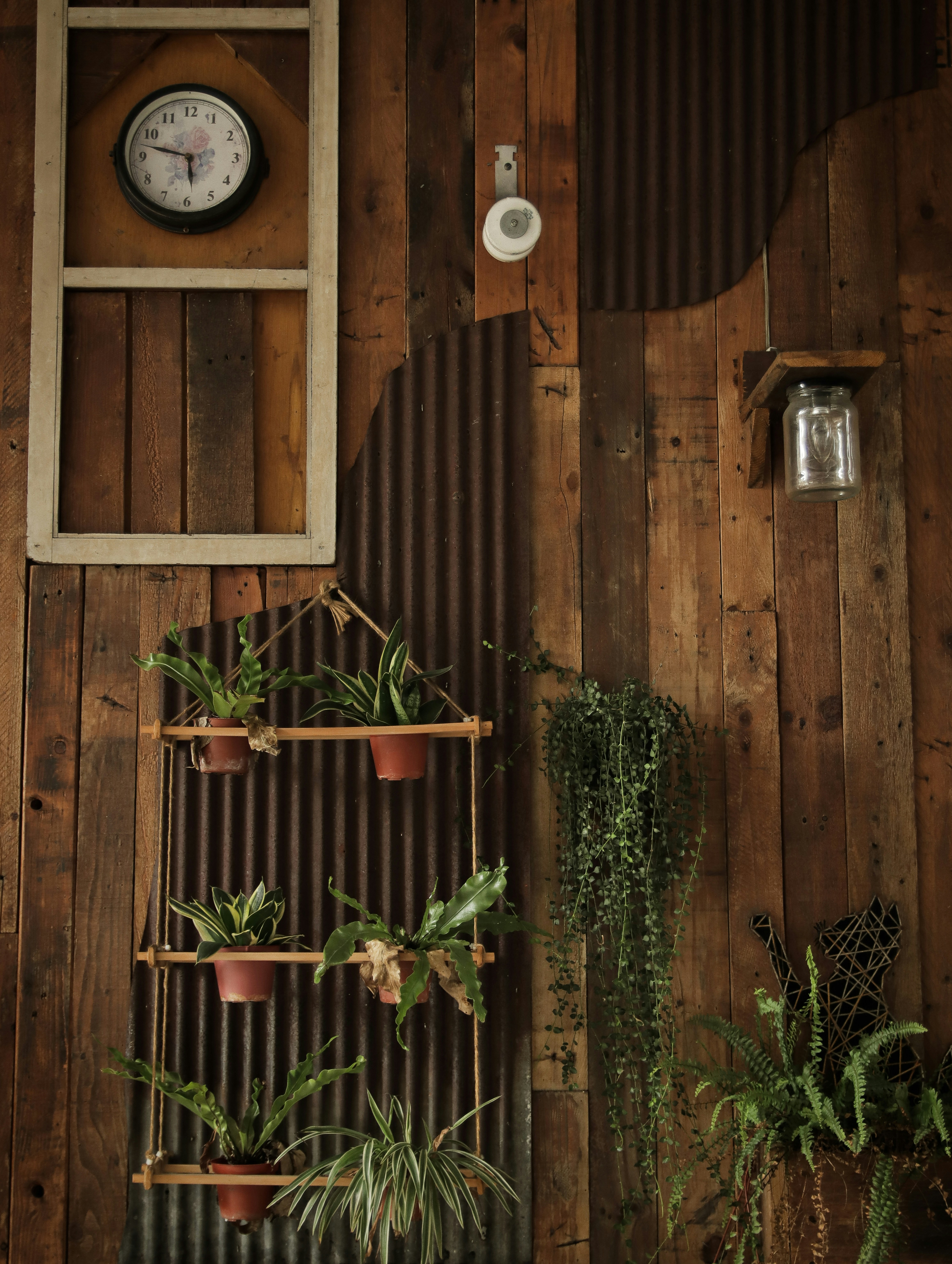 green plants on brown wooden window