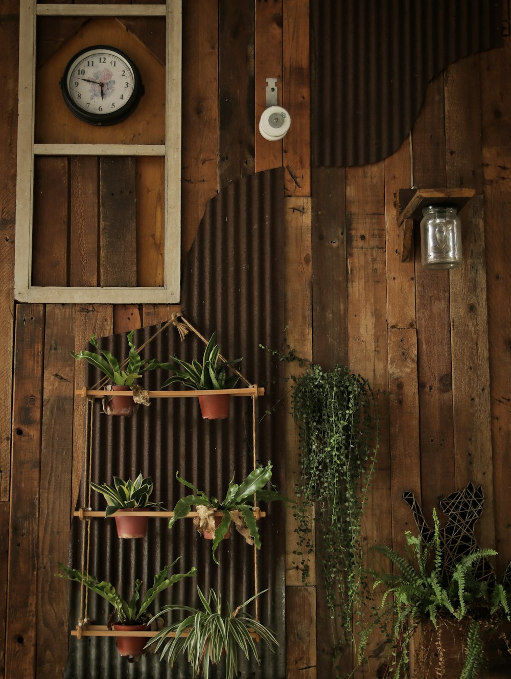 green plants on brown wooden window