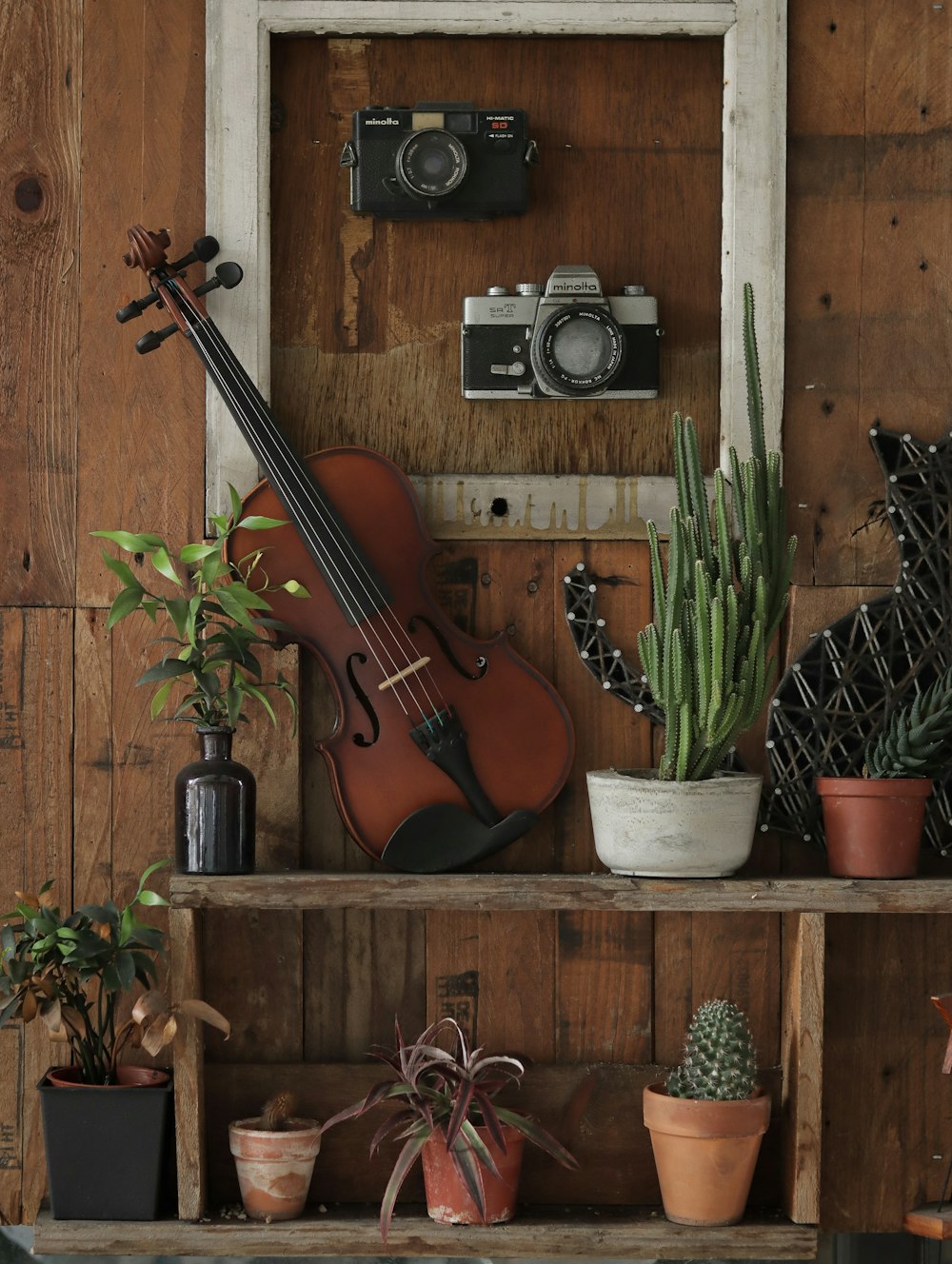 brown violin on brown wooden shelf