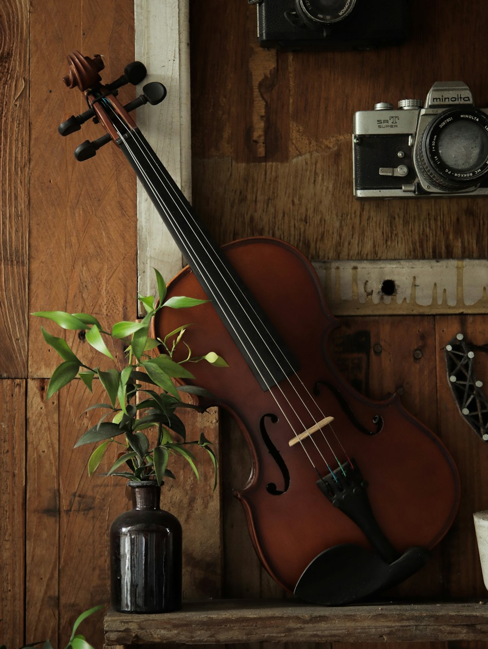 brown violin beside green plant