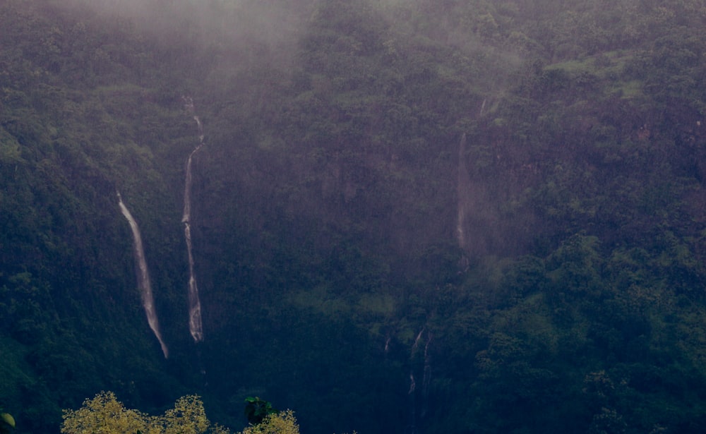 green trees on mountain during daytime