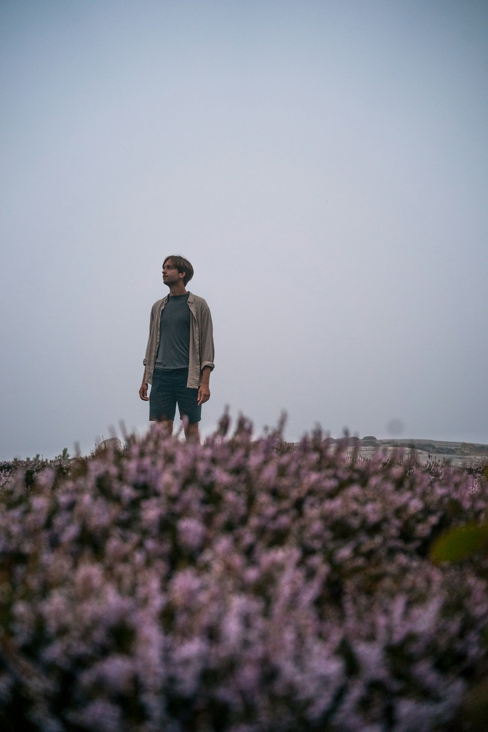 man in gray long sleeve shirt standing on purple flower field during daytime