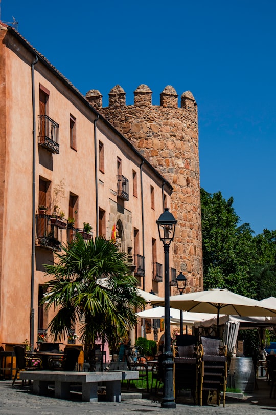 brown concrete building near palm tree under blue sky during daytime in Ávila‎ Spain