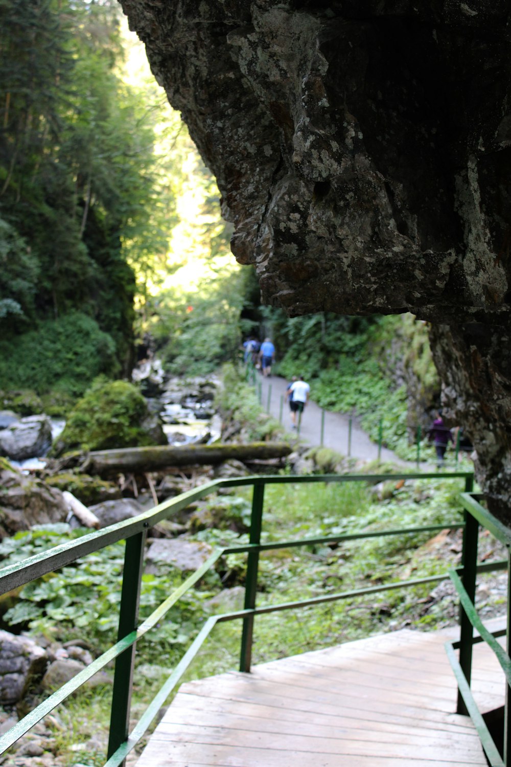 a wooden walkway going up a hill next to a river