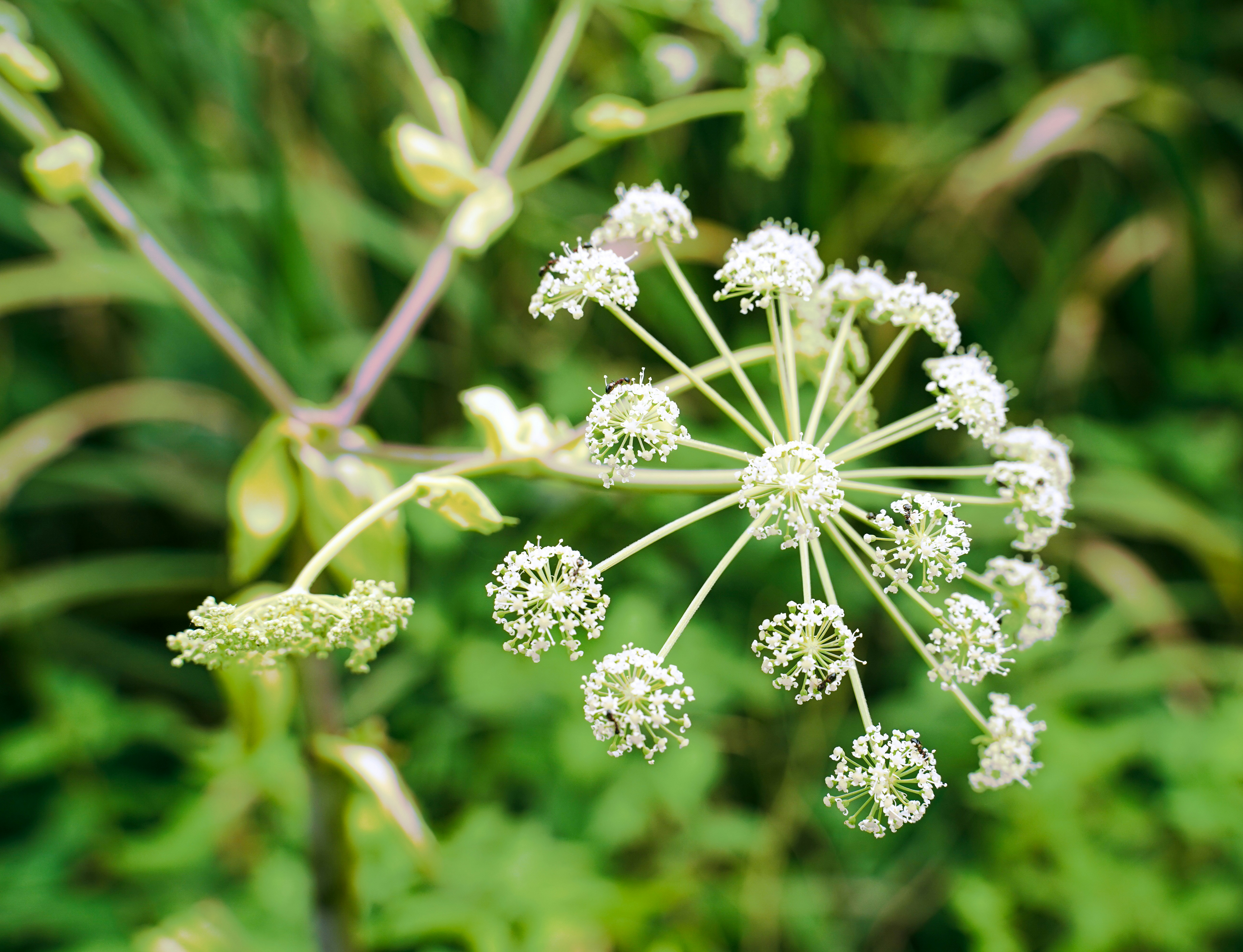 Photo by verf_leechaewon