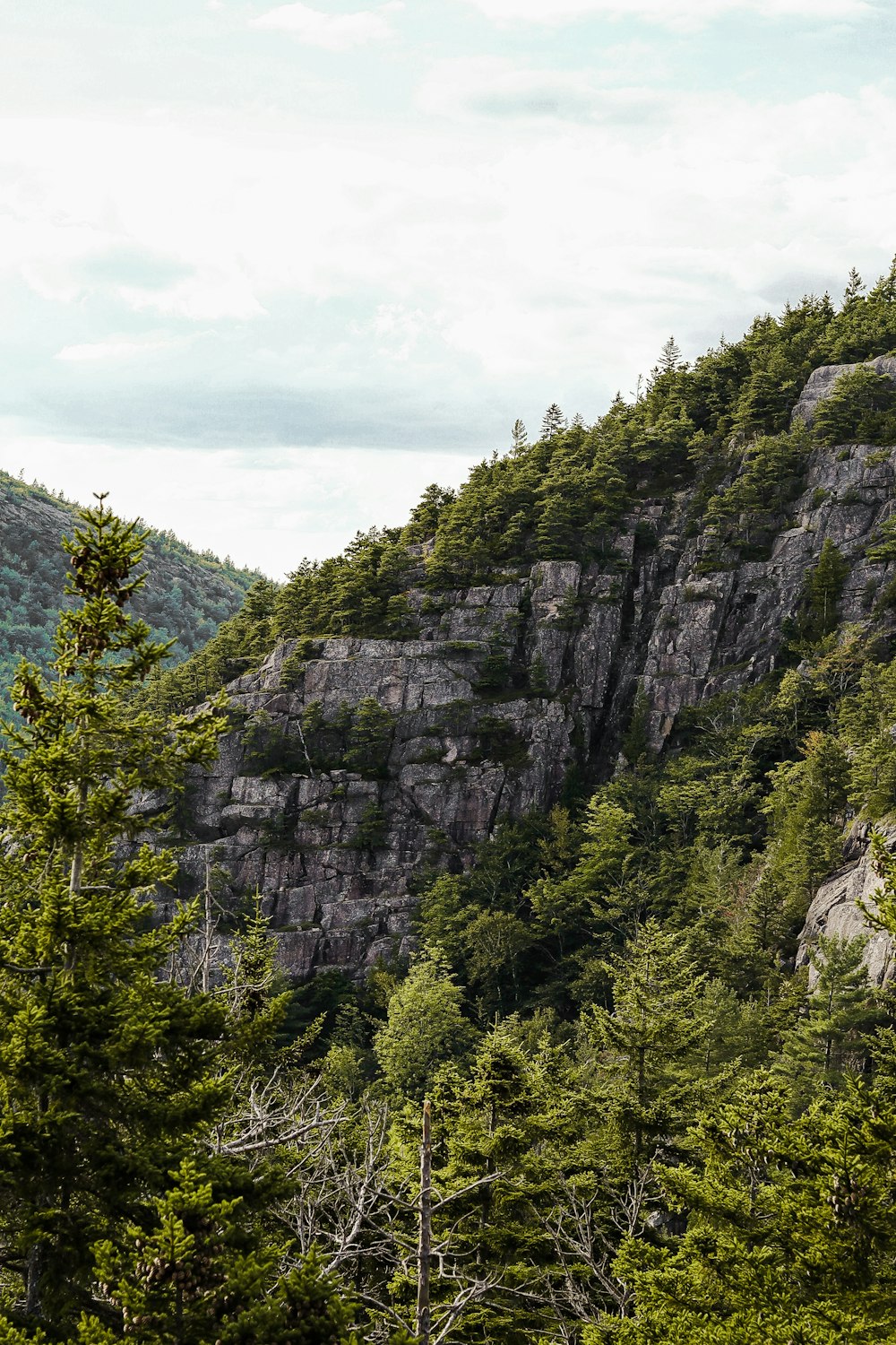 green trees on mountain under white clouds during daytime