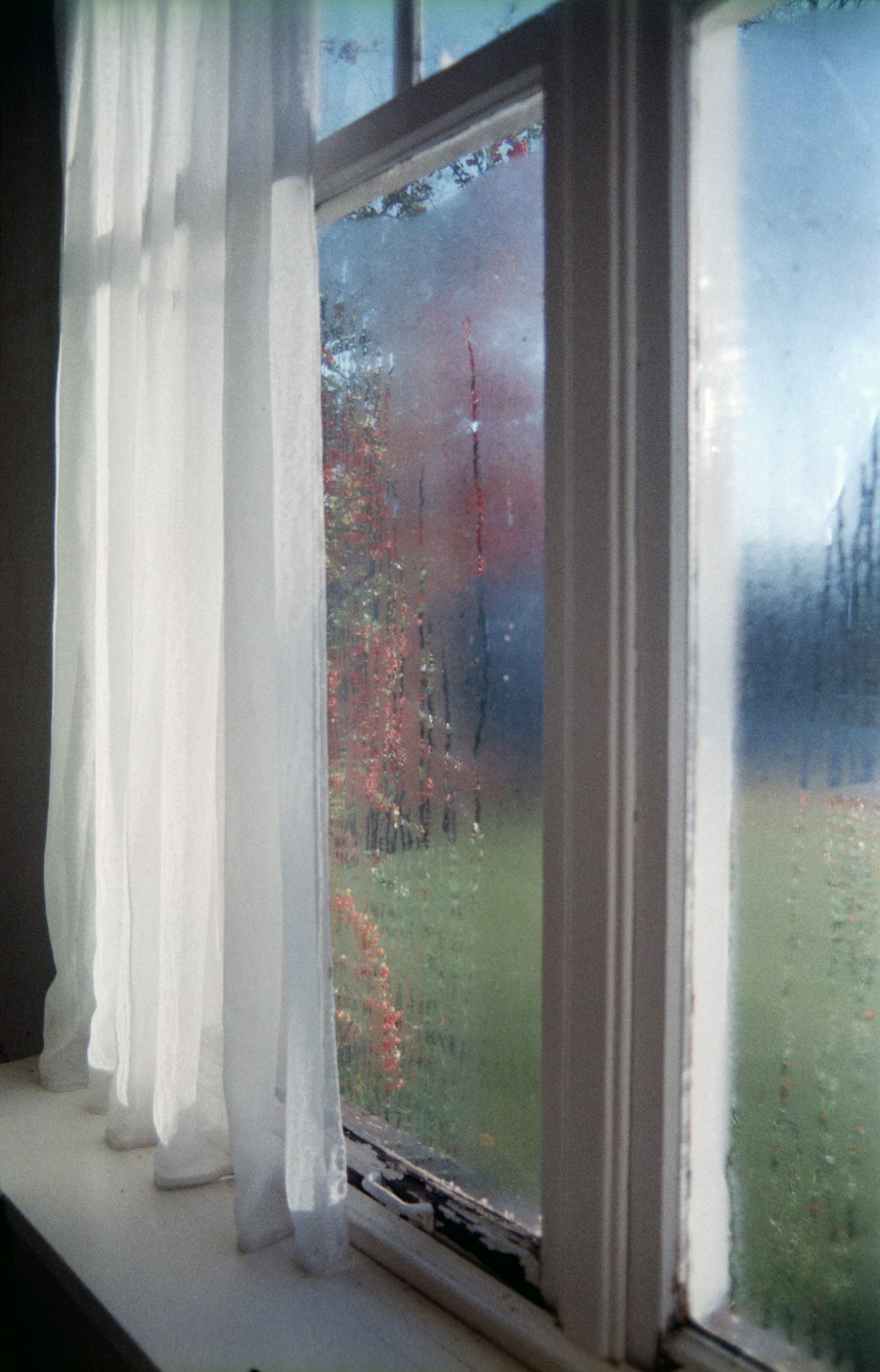 white floral window curtain during daytime