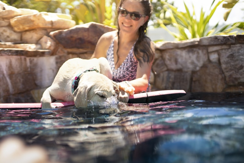 Dog Water Safety: Pool, Lake, and Beach Tips That Save Lives
