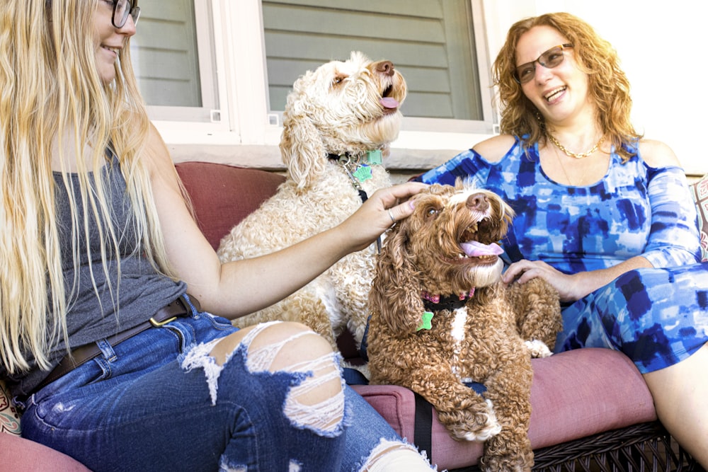 woman in blue shirt holding brown long coated dog