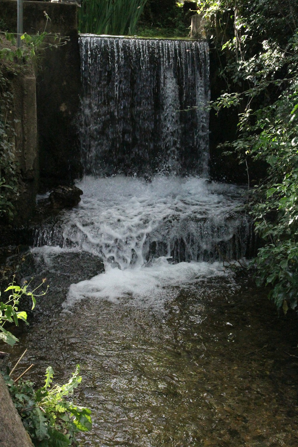 water falls in the middle of the forest