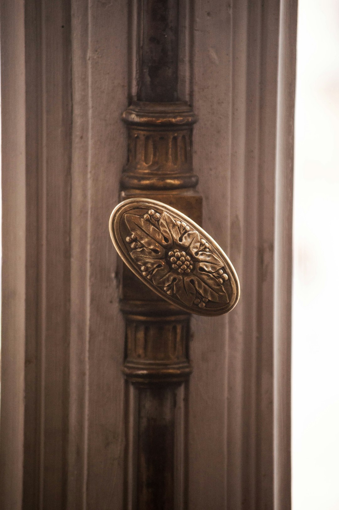 brass door knob on brown wooden door