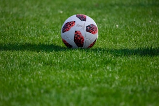 white and red soccer ball on green grass field during daytime