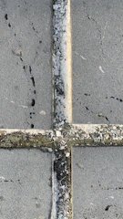 Close-up of a patio surface being pressure washed to reveal fresh stone.