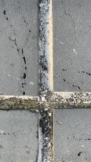 Close-up of a stone patio after high-pressure cleaning and anti-moss treatment.